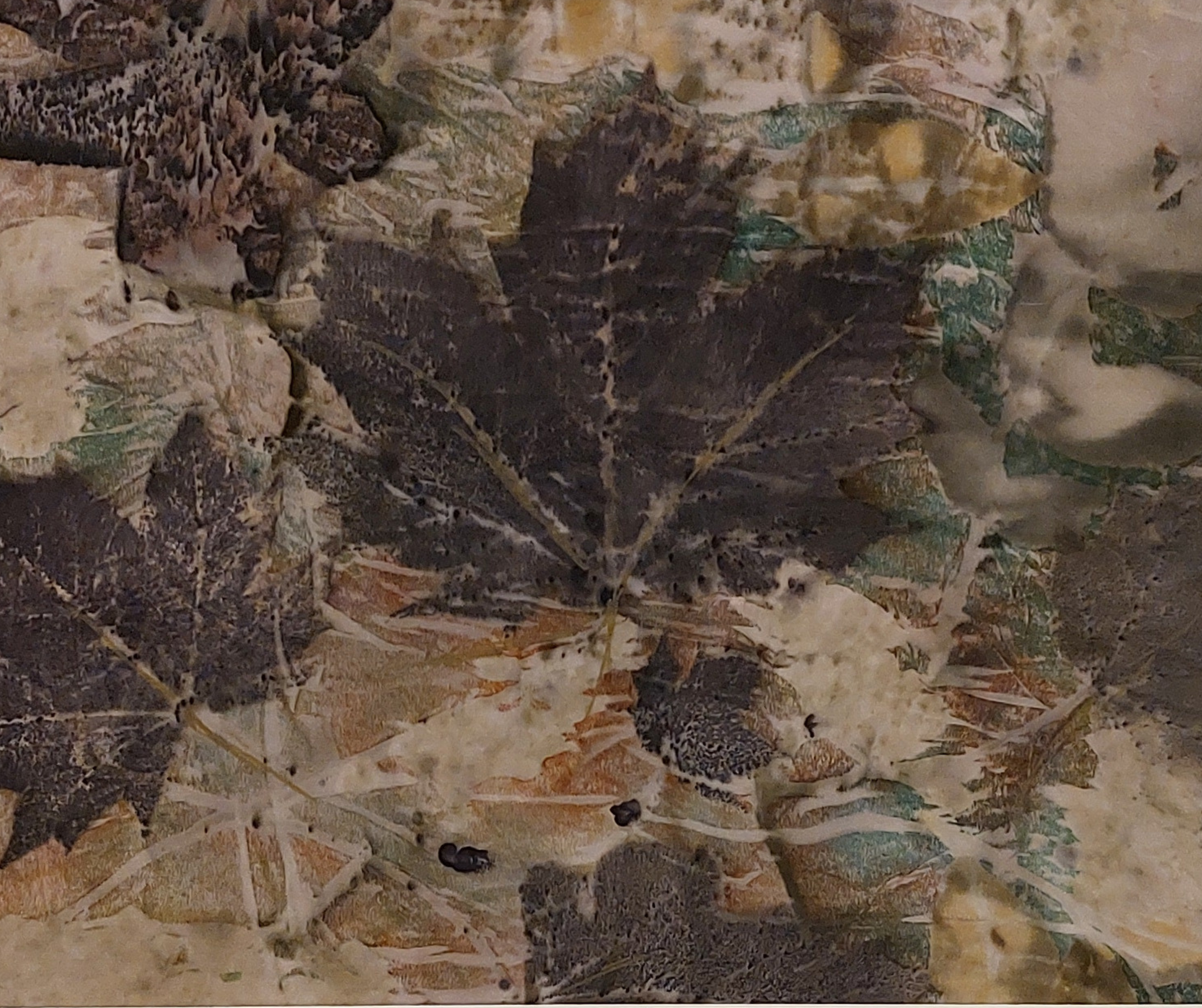 Ecoprinting Gabrielle Kliem - Cultuurforum Aardenburg